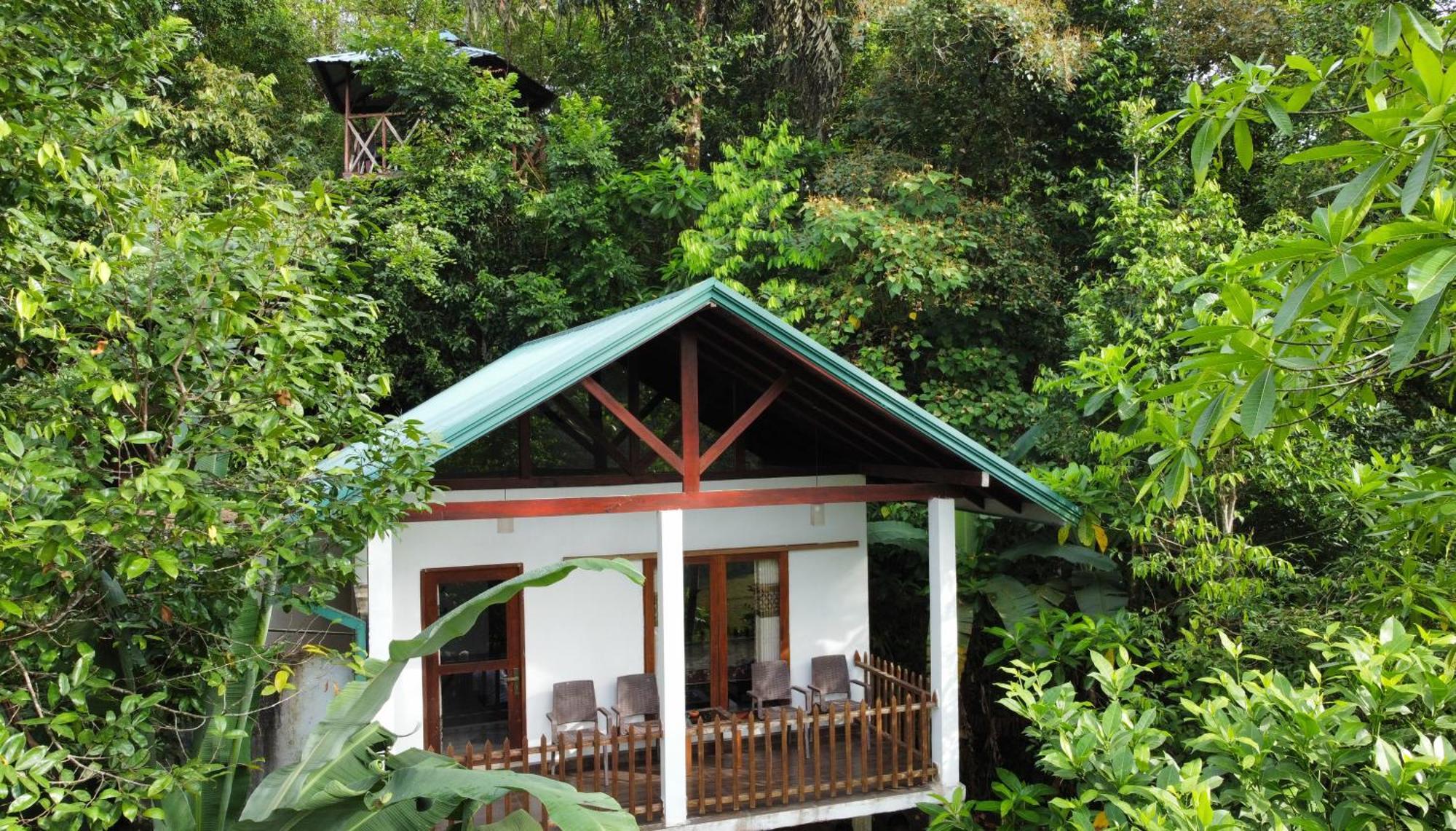 Sinharaja Rest Hotel Deniyaya Exterior foto